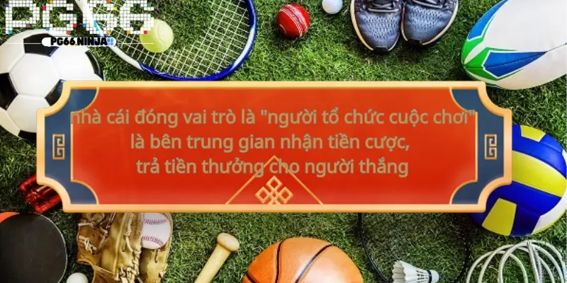 pg6.uk.com__Nhà cái cá cược là gì
